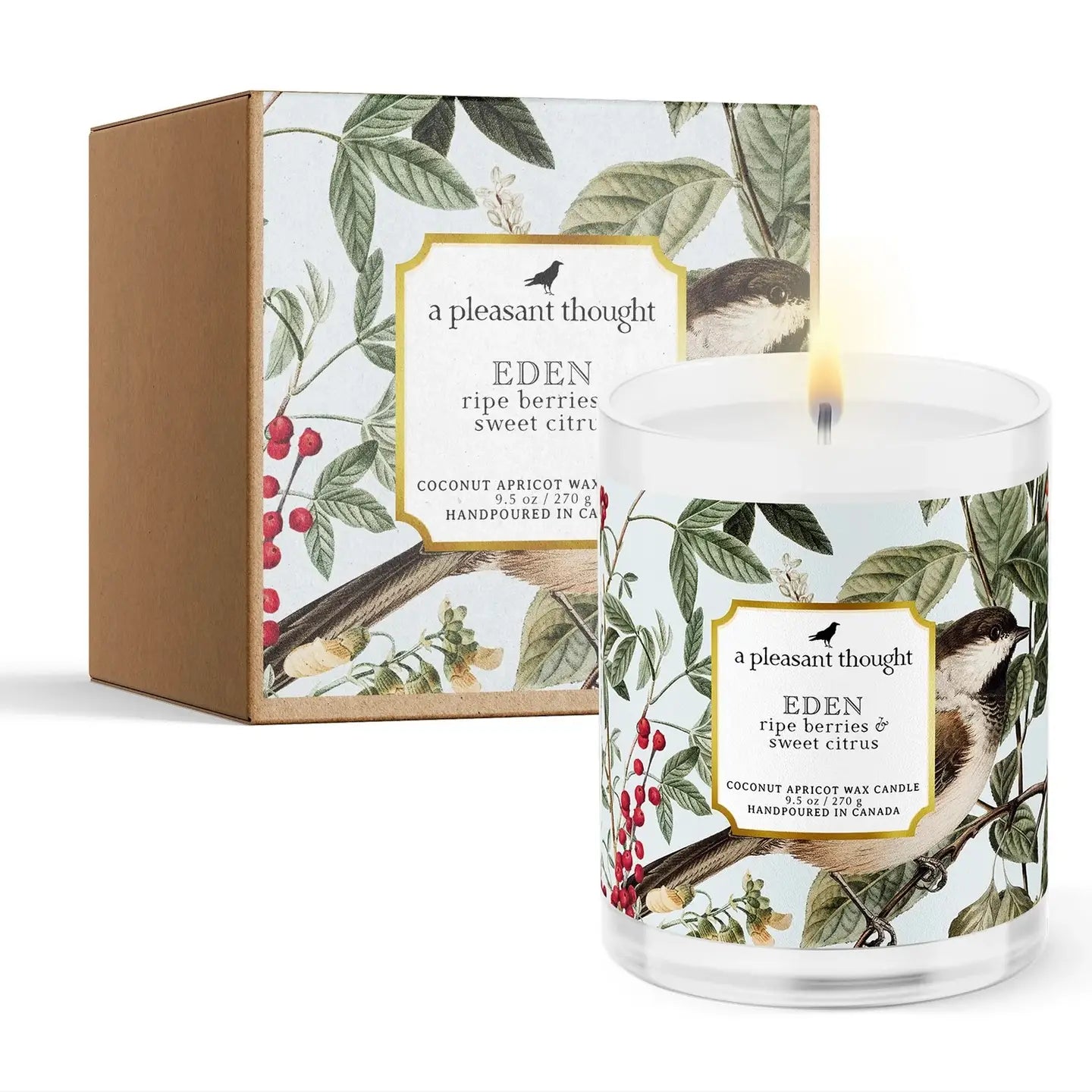 Eden – Ripe Berries & Sweet Citrus Candle