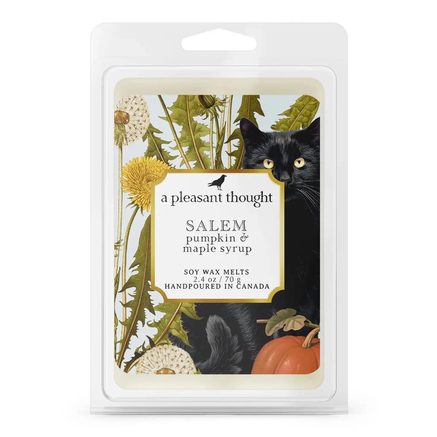 Salem – Pumpkin & Maple Syrup Wax Melts