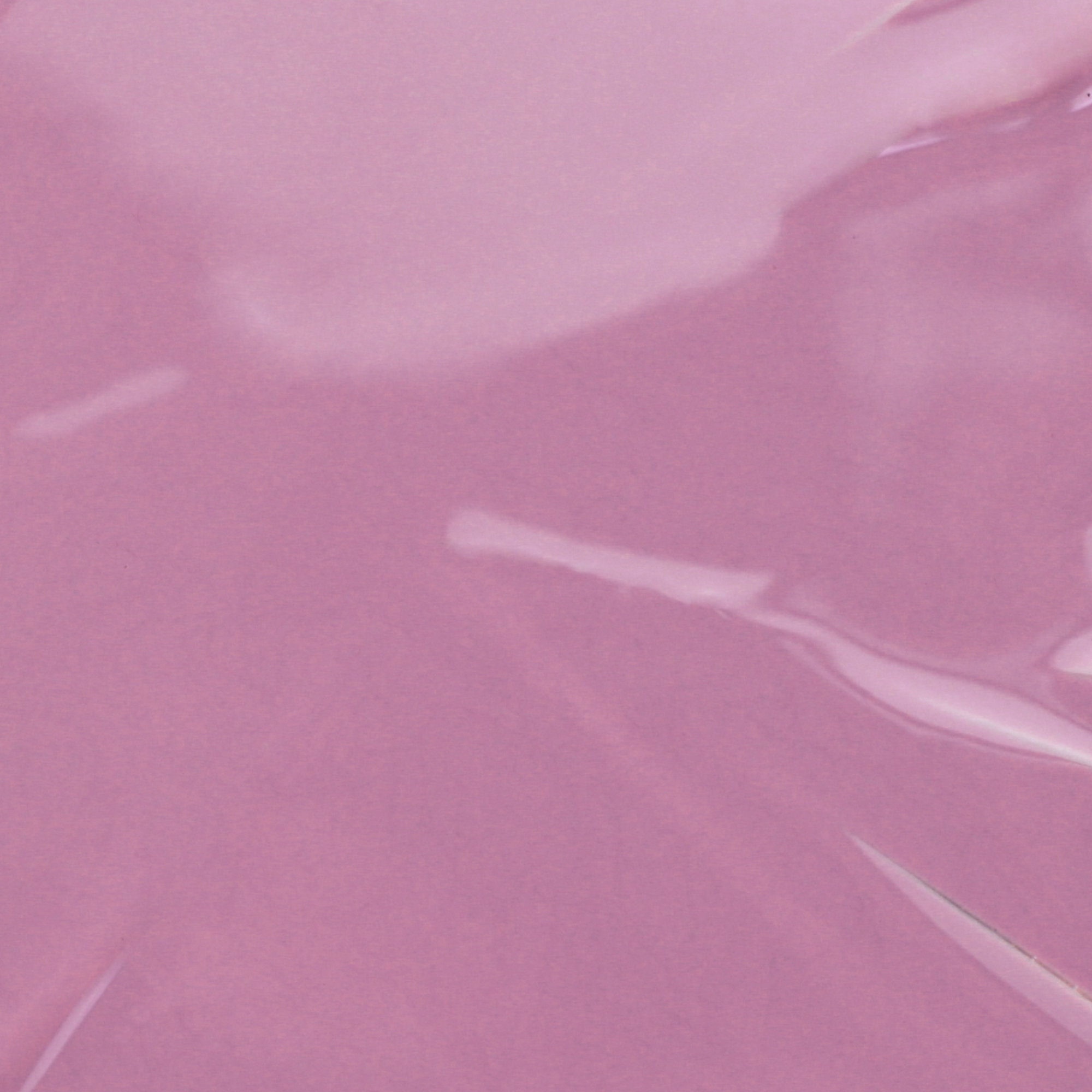 Vegan Nail Polish | BKIND