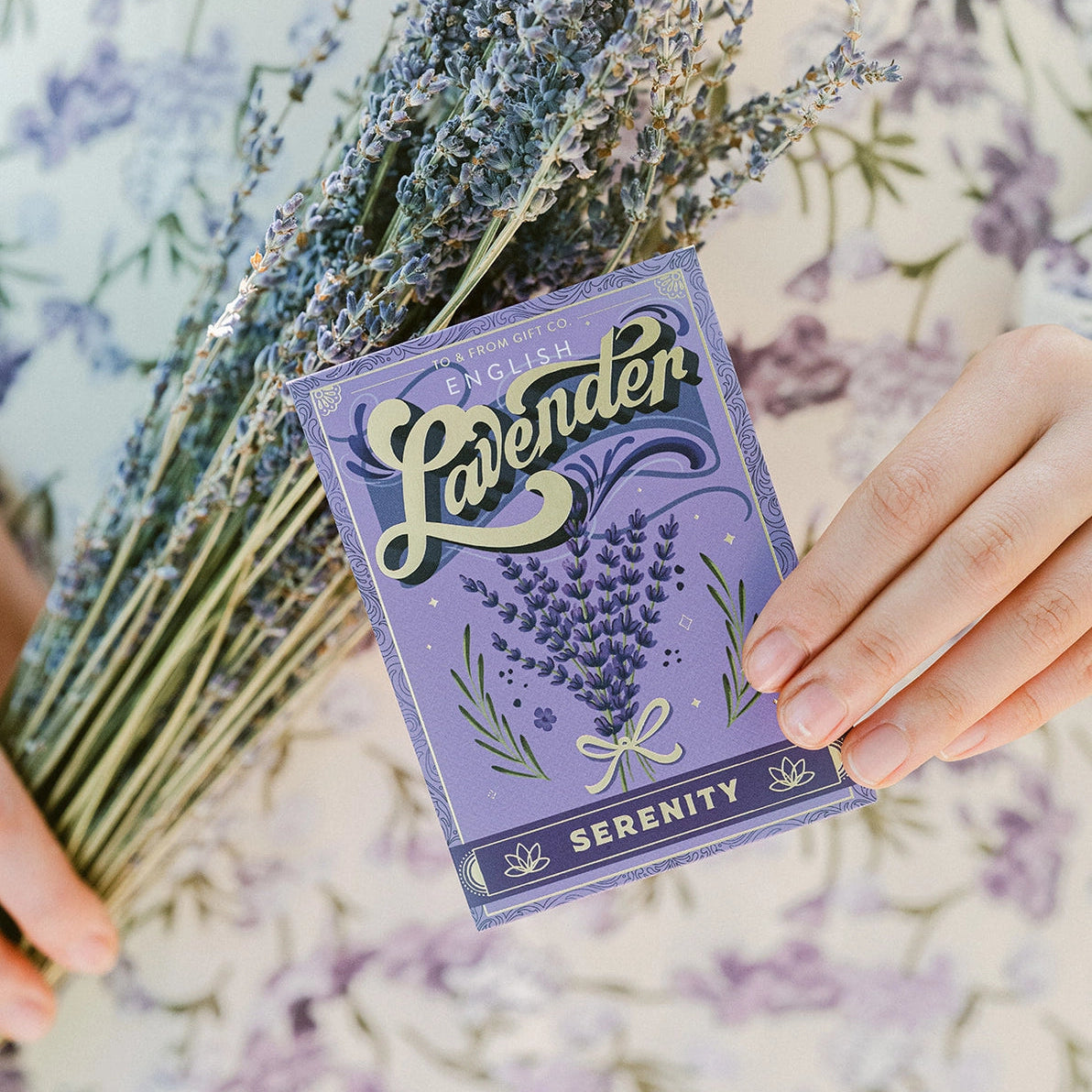 lavender seed collection Lavender Seed Pack