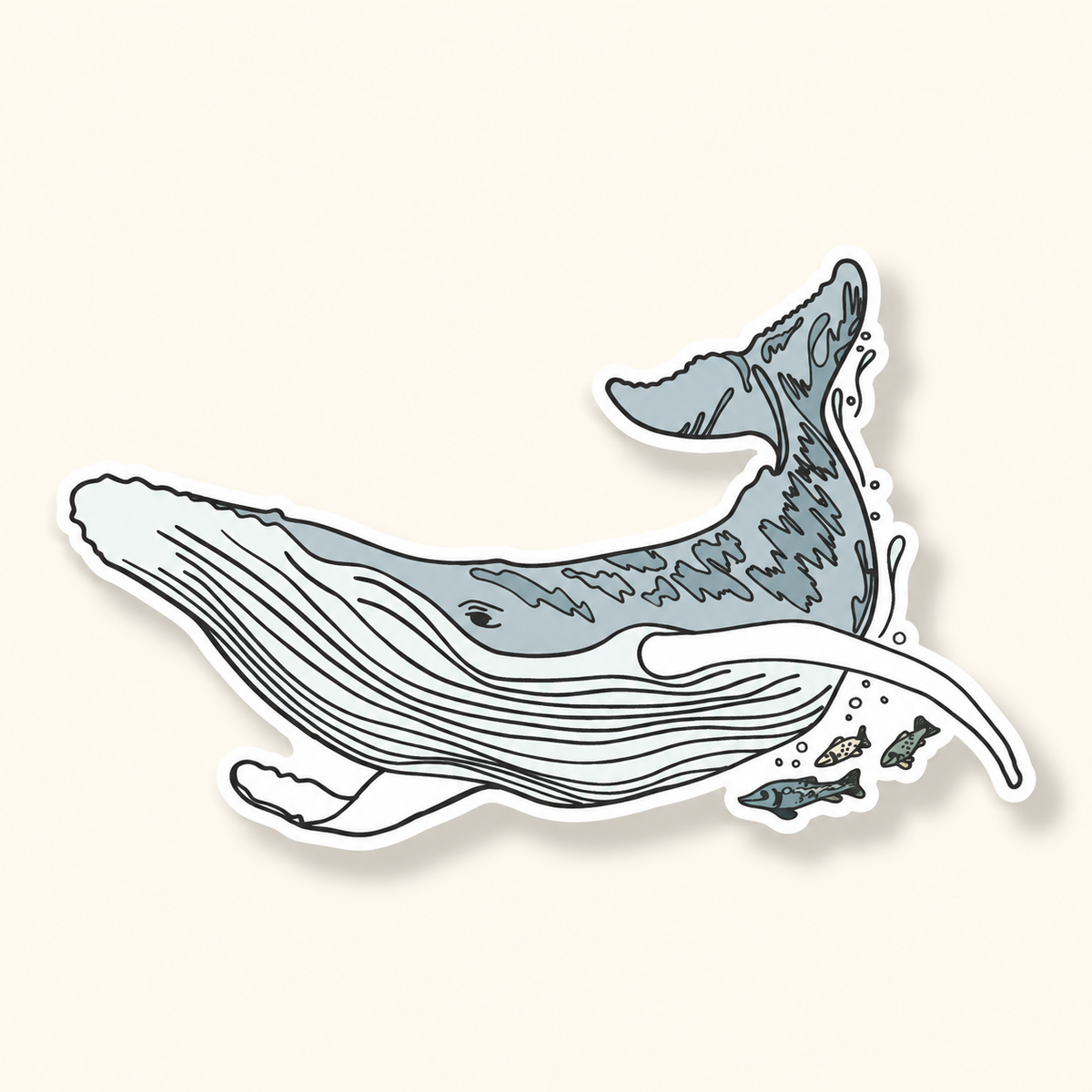 Humpback Whale Vinyl Sticker