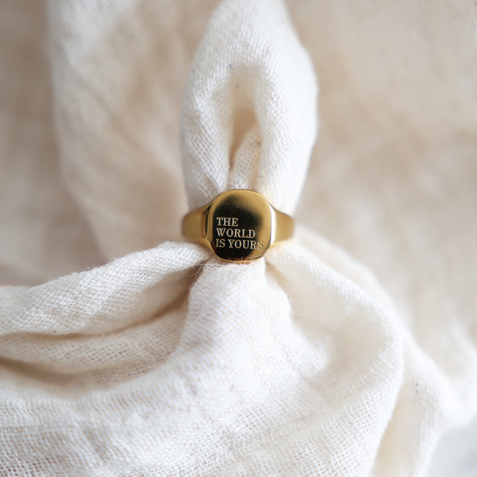 The World Is Yours Signet Ring