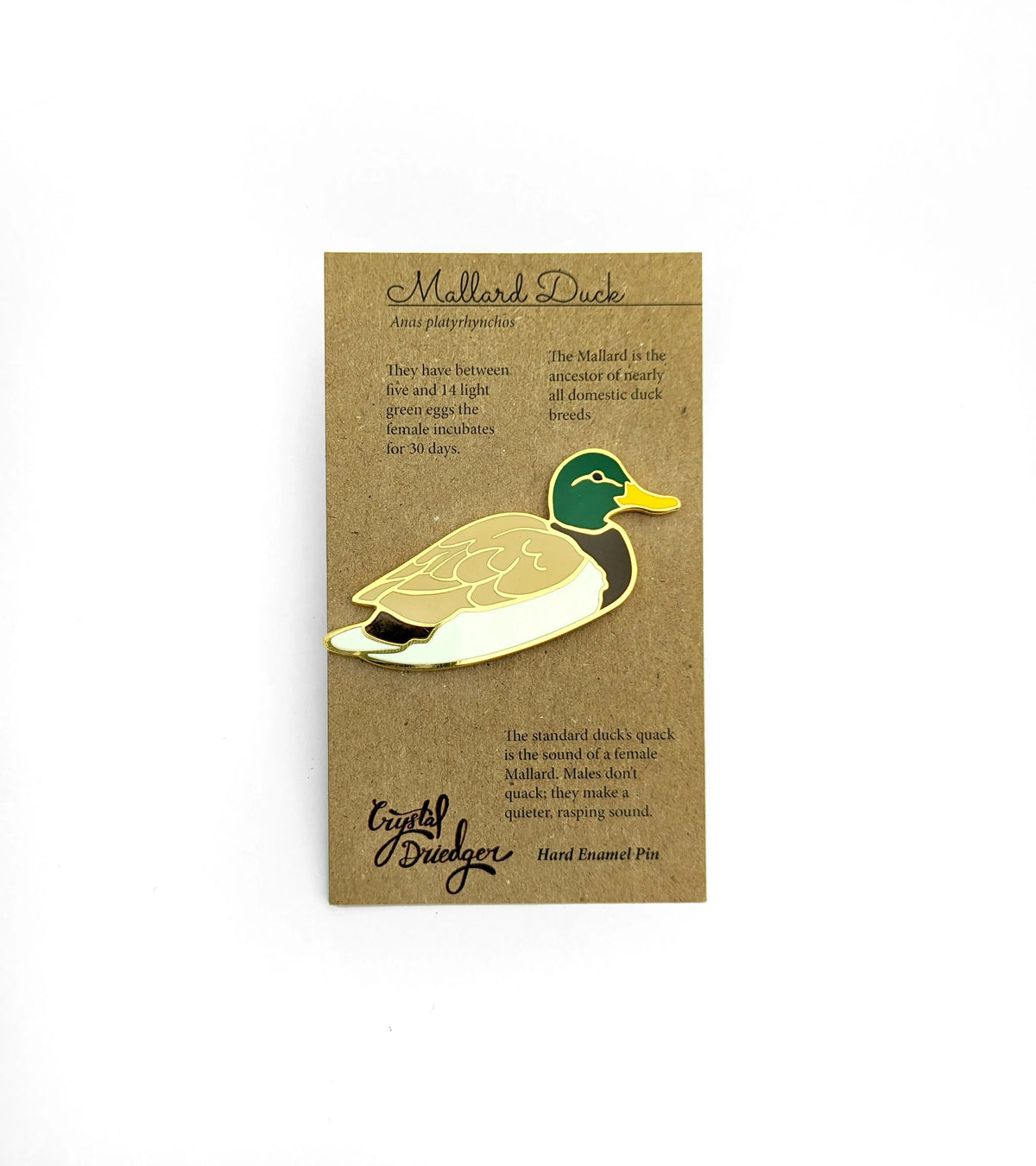 Mallard Duck Enamel Pin