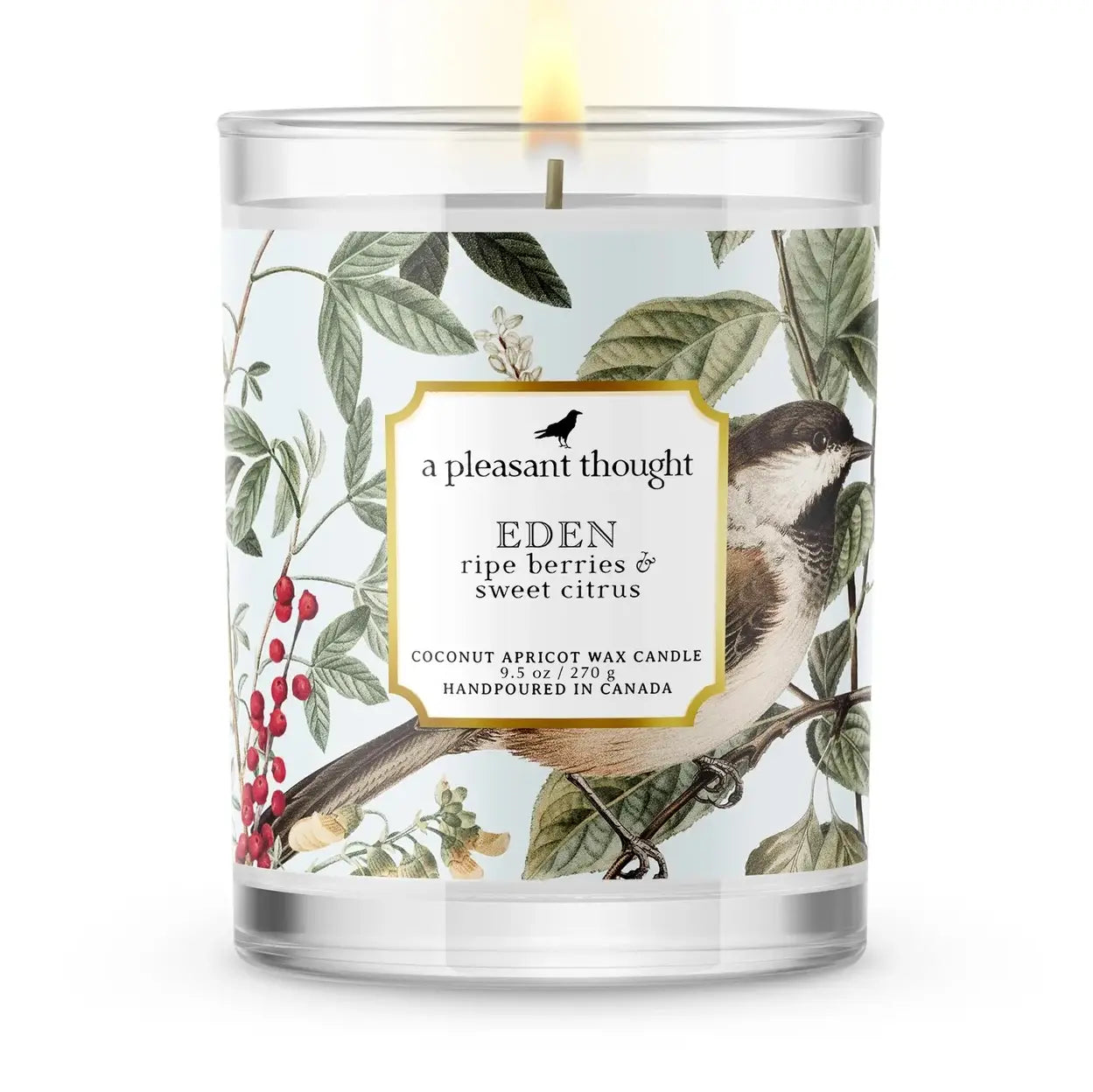 Eden – Ripe Berries & Sweet Citrus Candle