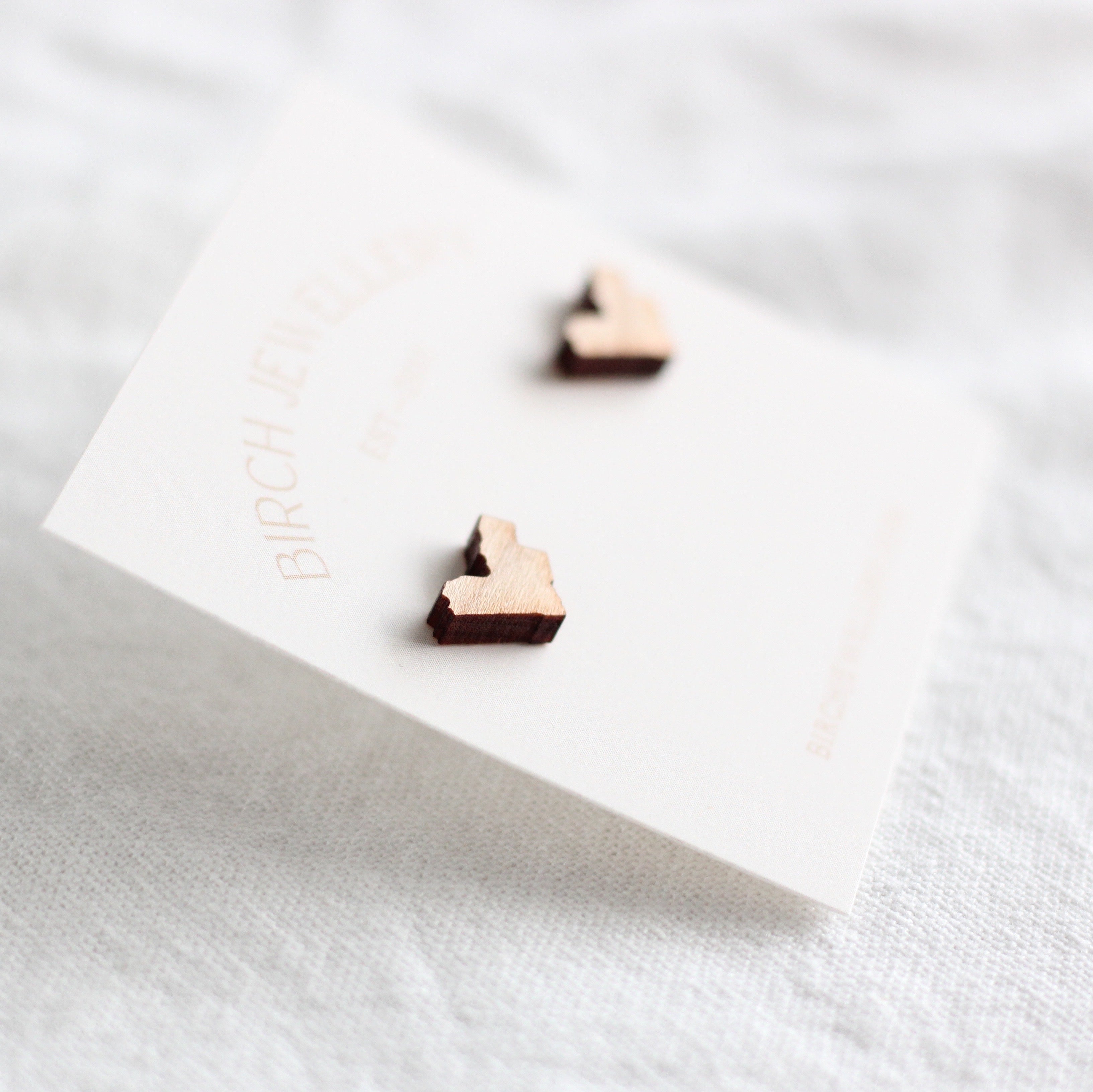 Ottawa Earrings