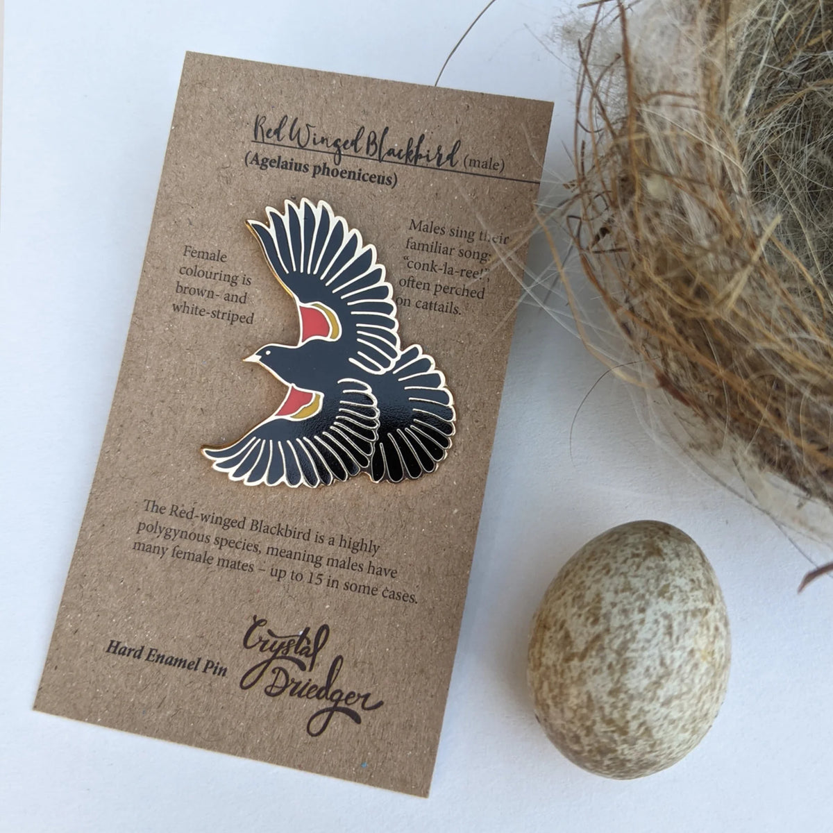 Red-winged Blackbird Enamel Pin