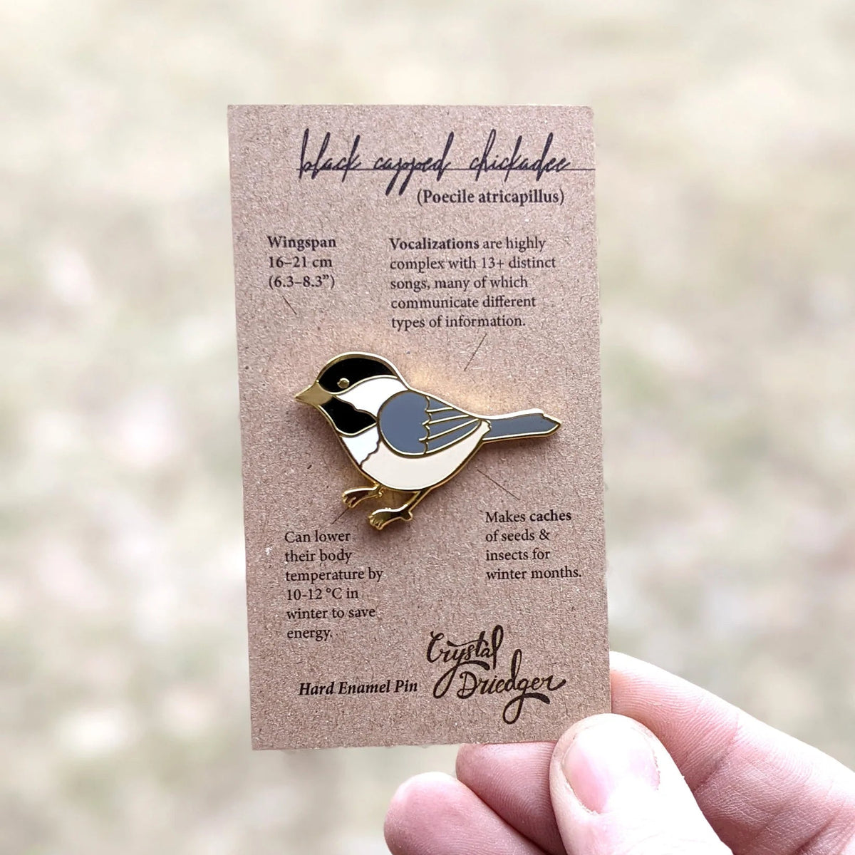 Black-capped Chickadee Enamel Pin