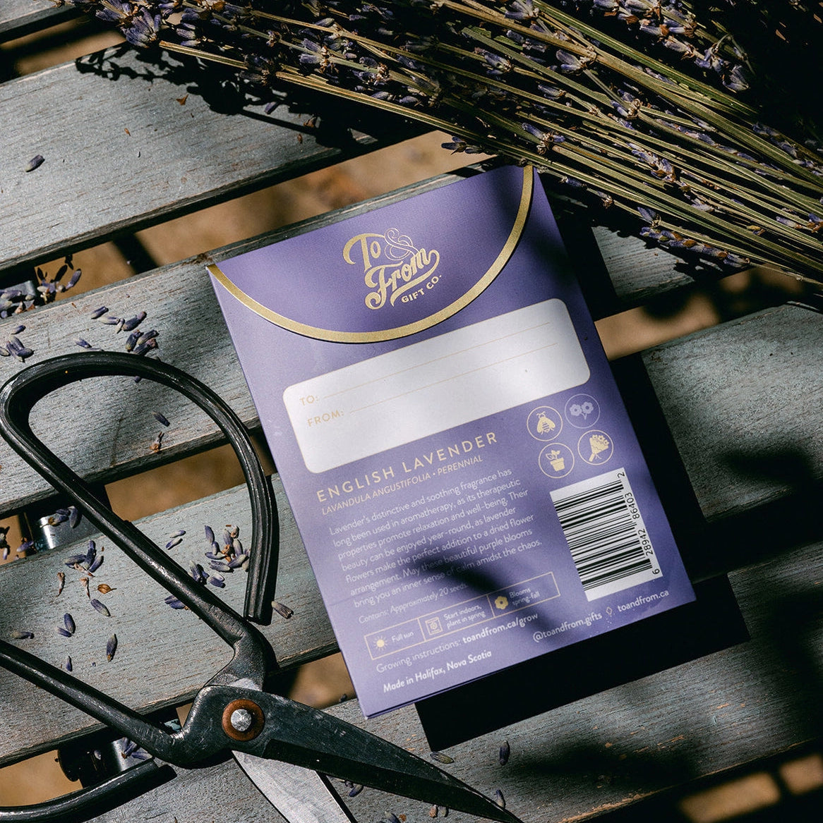 Lavender Seed Pack
