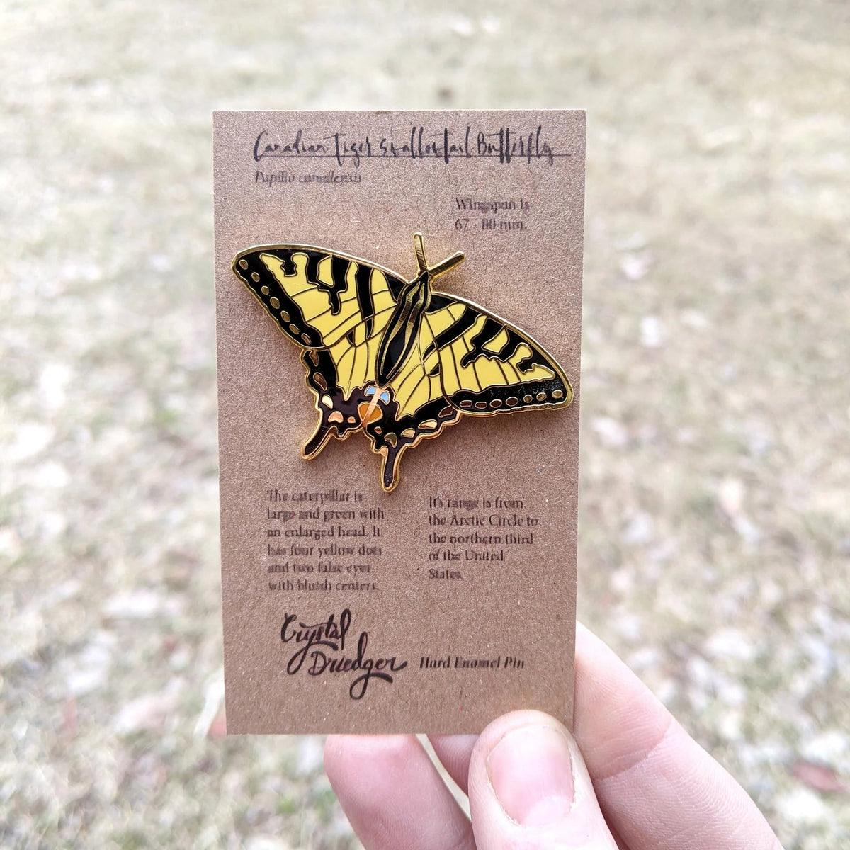 Tiger Swallowtail Butterfly Enamel Pin