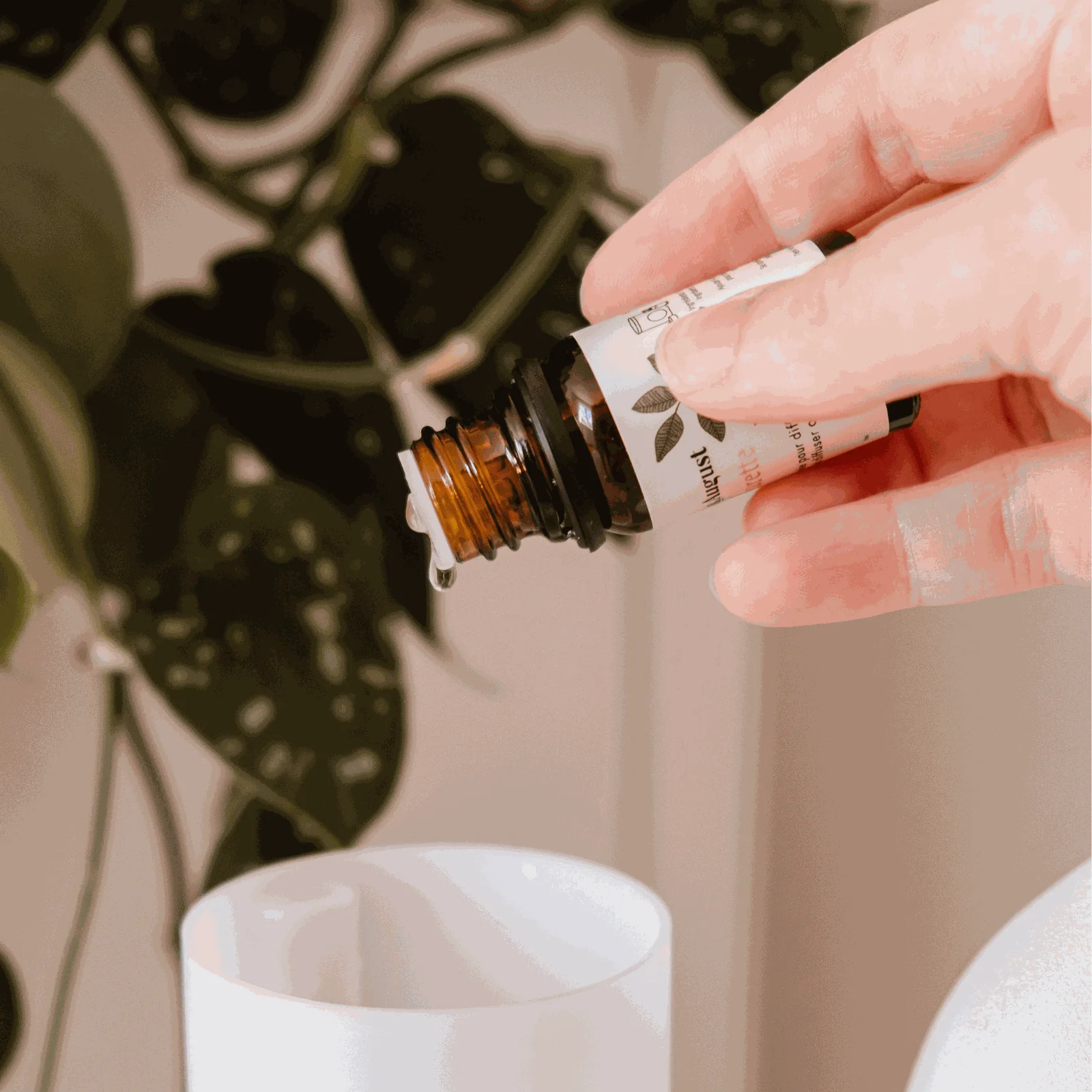 Scented Diffuser Oil – Eucalipto