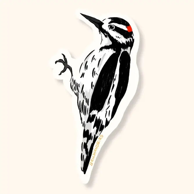 Woodpecker Vinyl Sticker