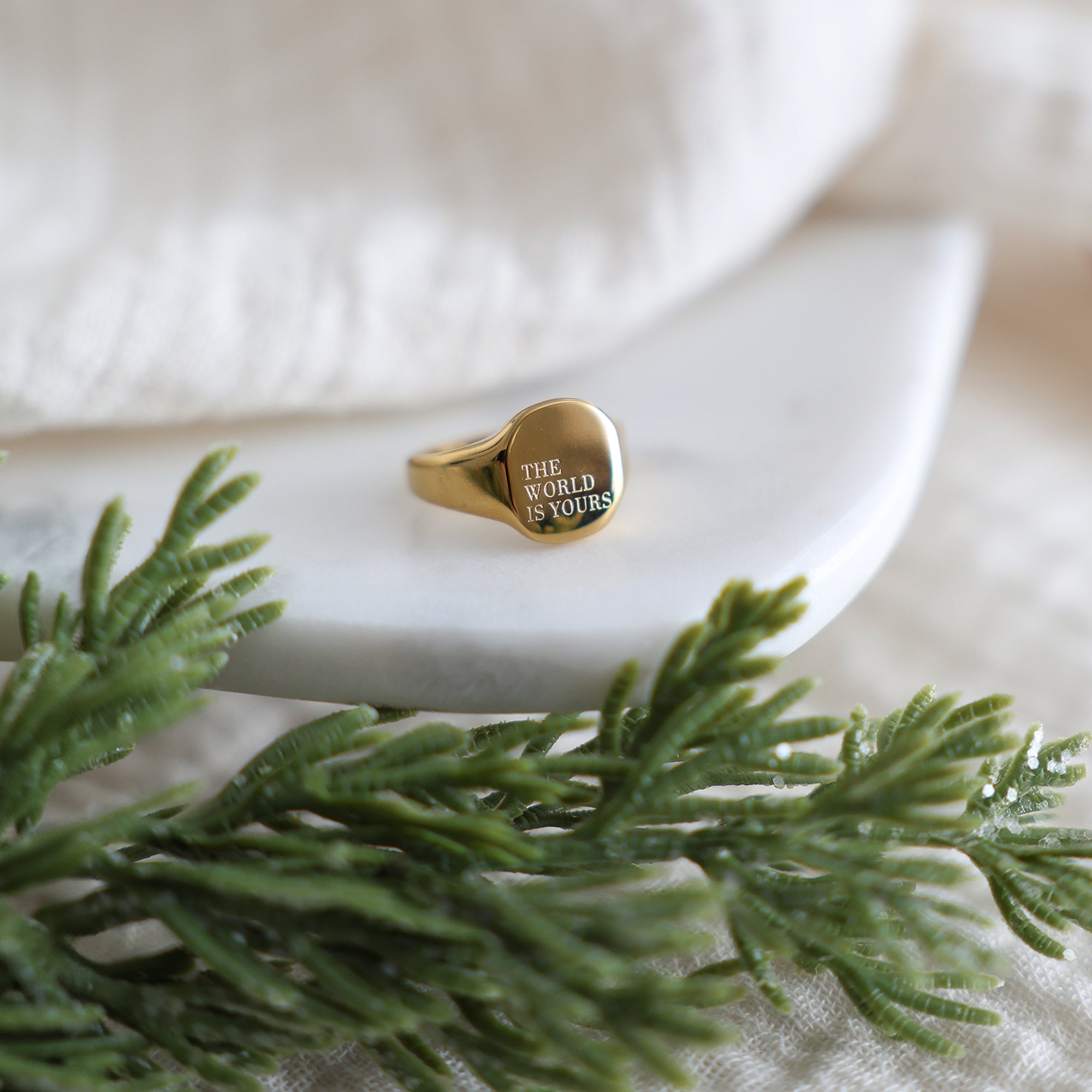 The World Is Yours Signet Ring