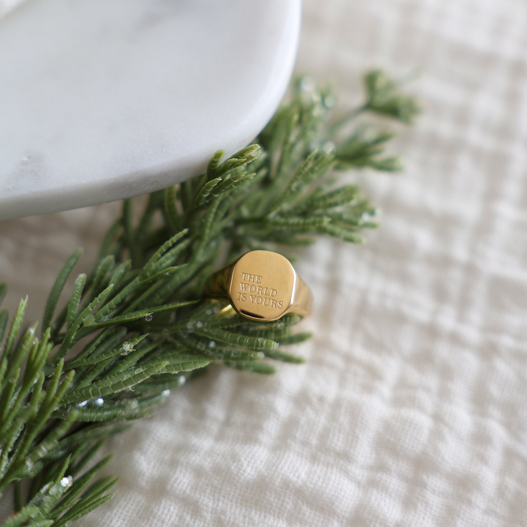 The World Is Yours Signet Ring