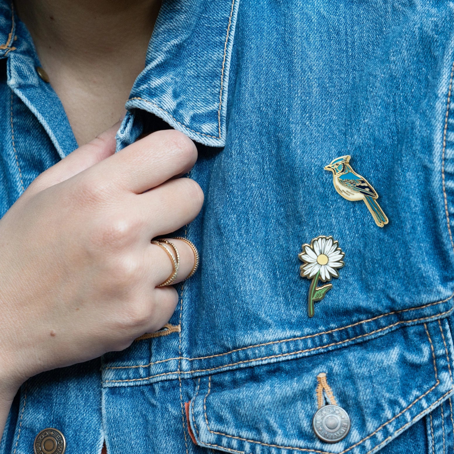 Blue Jay Enamel Pin