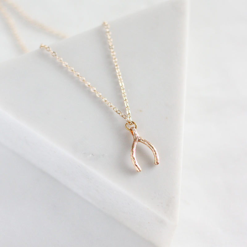 Wishbone Necklace