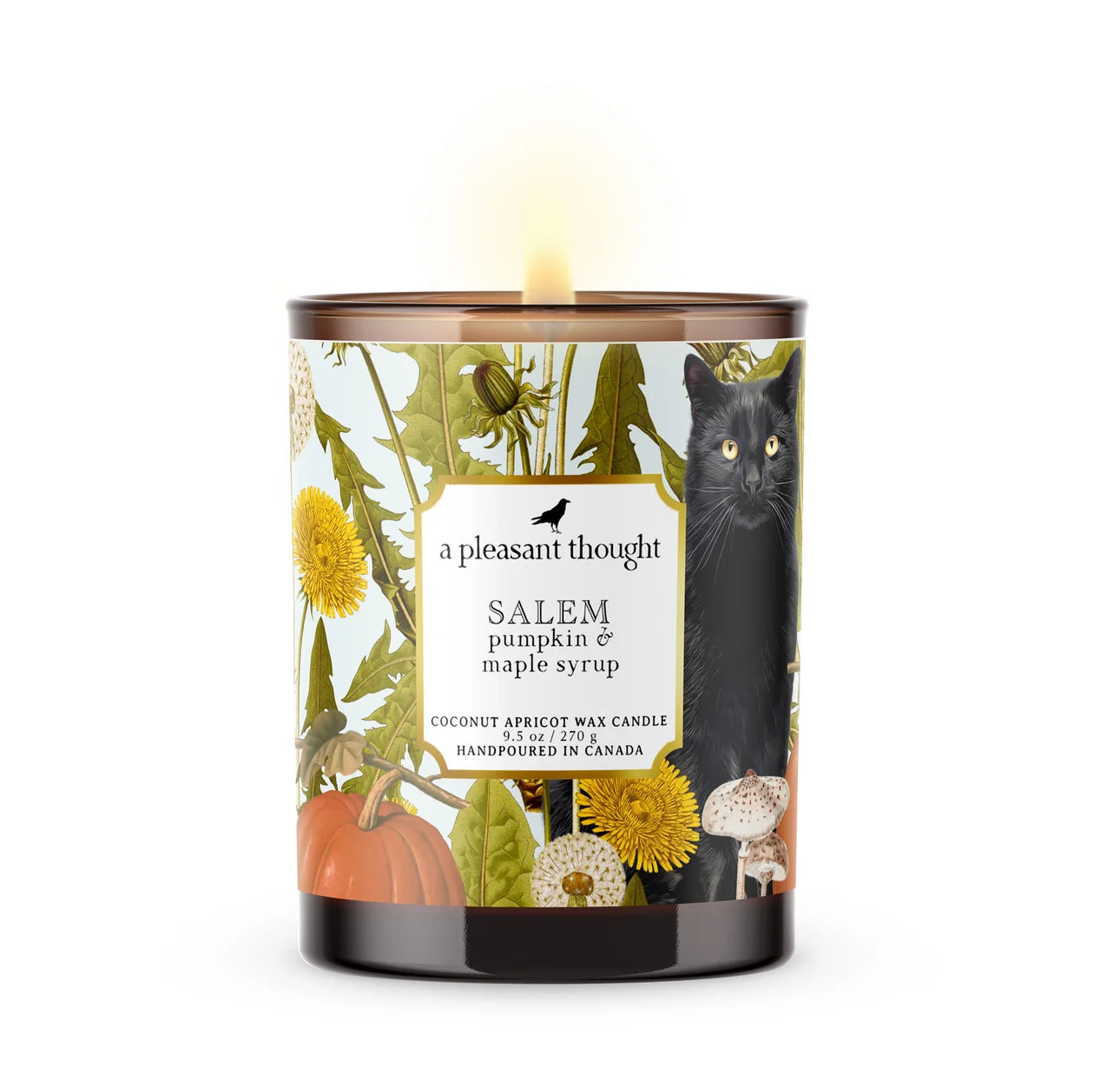 Salem – Pumpkin & Maple Syrup Candle