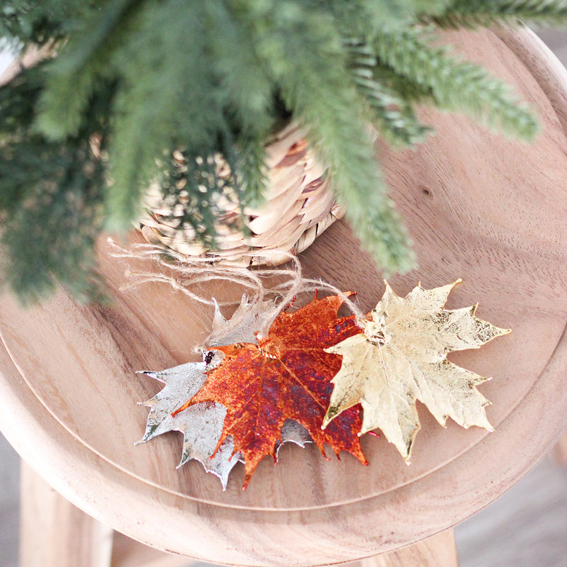 Maple Leaf Ornament Gift Set