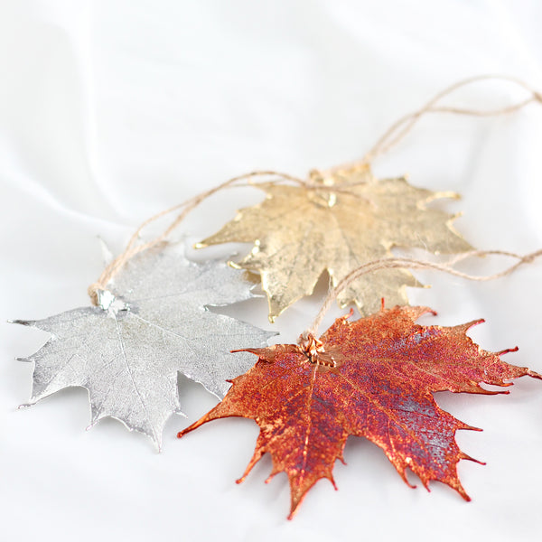 Maple Leaf Ornament Gift Set