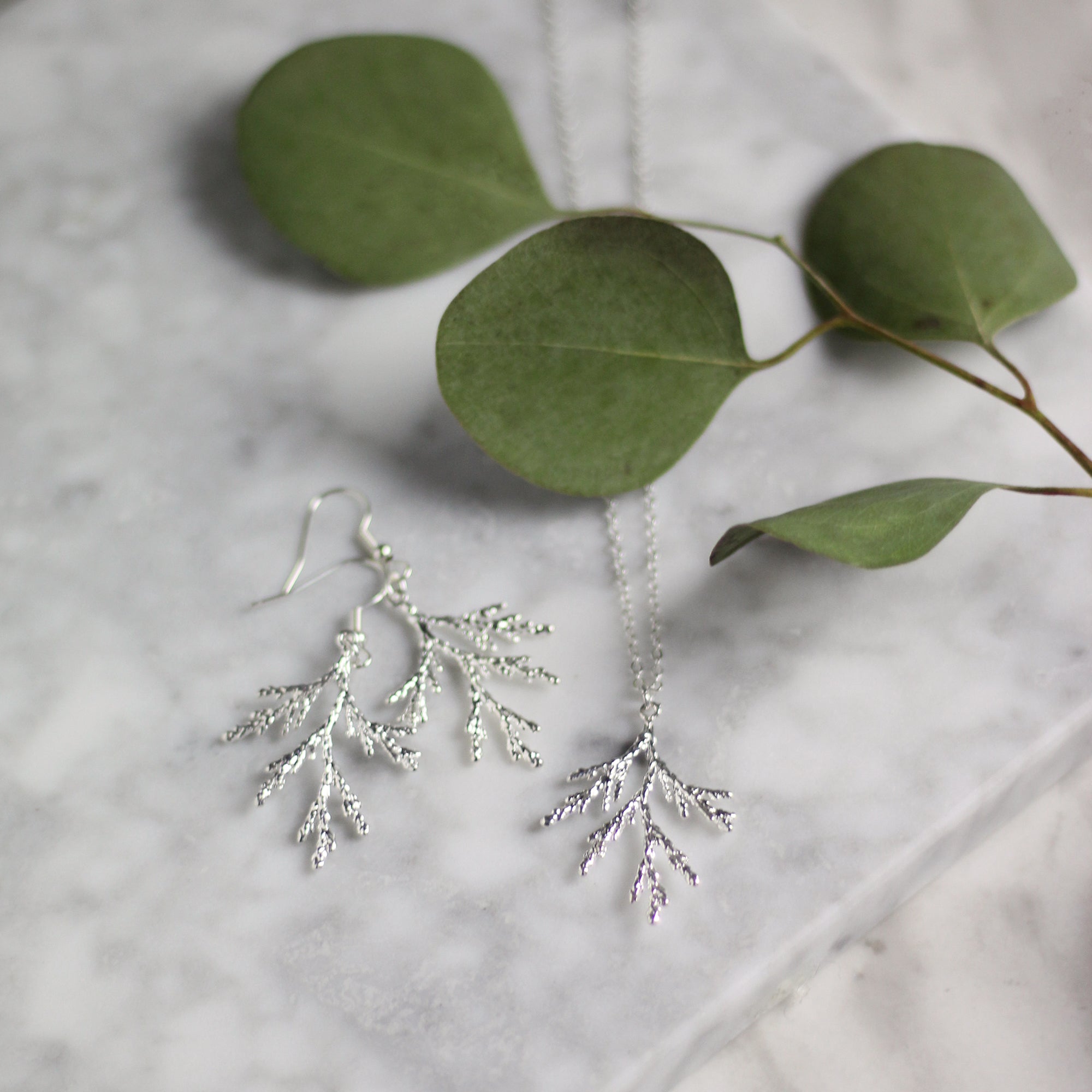 Silver Juniper Branch Gift Set